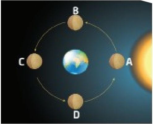Fases da Lua nas posições A, B, C e D